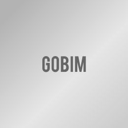 GoBIM